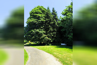 achat maison lorigne 79190