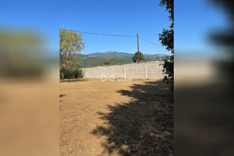 achat maison lucciana 20290