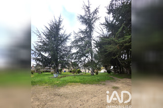 achat maison luche-pringe 72800