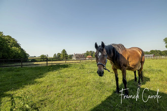 achat maison luneray 76810