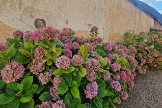 achat maison maintenon 28130