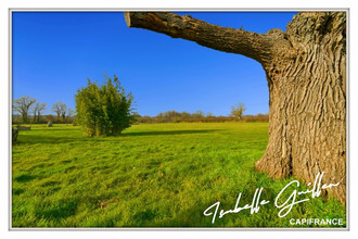 achat maison maisonnais 18170