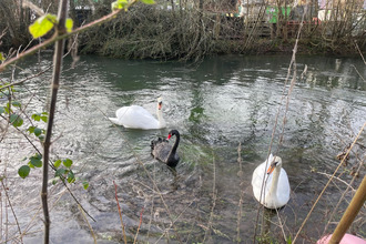 achat maison malaunay 76770