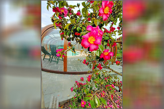 achat maison malestroit 56140