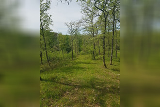 achat maison marciac 32230