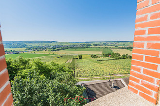 achat maison mareuil-le-port 51700