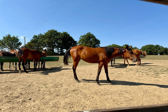 achat maison marigne 49330