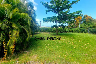 achat maison marin 97290