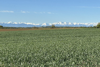 achat maison masseube 32140