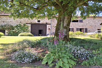 achat maison massignac 16110