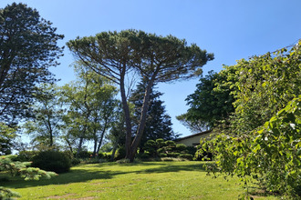 achat maison massignac 16110