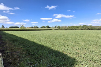 achat maison massignac 16310