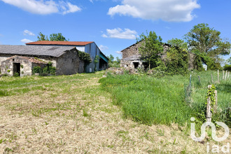 achat maison mauleon 79700