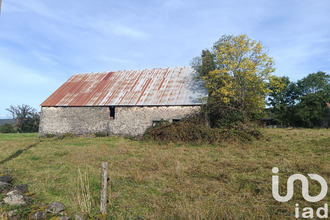 achat maison mauriac 15200