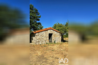 achat maison mazeyrat-d-allier 43300