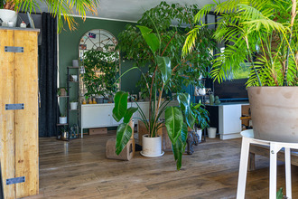 achat maison mesigny 74330