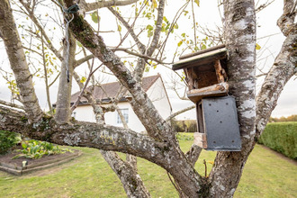 achat maison meusnes 41130