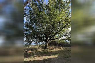 achat maison mielan 32170