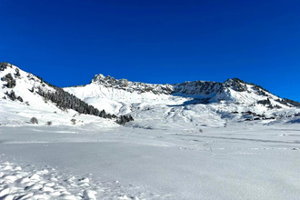 achat maison mieussy 74440