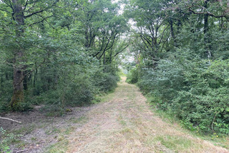 achat maison migne 36800