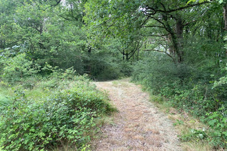 achat maison migne 36800