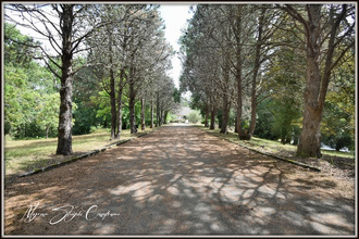 achat maison mimizan 40200