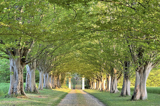 achat maison mirande 32300