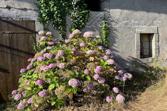 achat maison moelan-sur-mer 29350