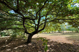 achat maison monbahus 47290