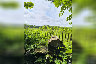 achat maison monfaucon 24130