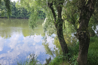 achat maison monsempron-libos 47500