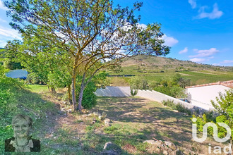 achat maison monze 11800