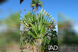 achat maison morne-a-l-eau 97111