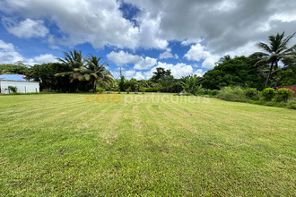 achat maison morne-a-l-eau 97111