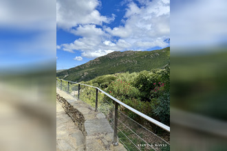 achat maison morsiglia 20238