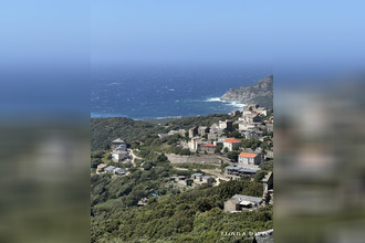 achat maison morsiglia 20238