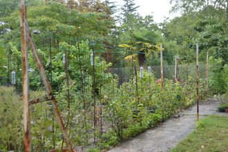 achat maison mortagne-sur-gironde 17120