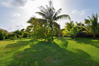 achat maison moule 97160