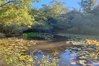 achat maison moze-sur-louet 49610