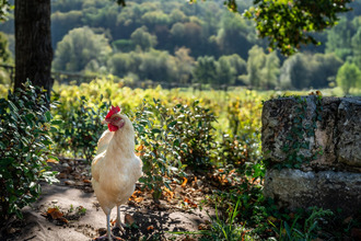 achat maison mtagnac-la-crempse 24