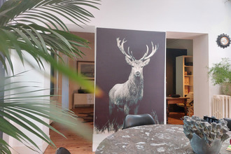 achat maison mtauban 82000