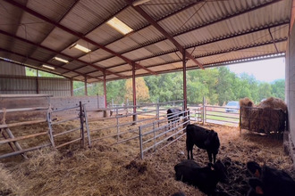 achat maison mtauban 82000