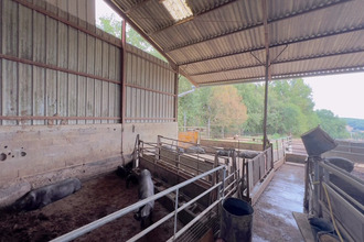 achat maison mtauban 82000