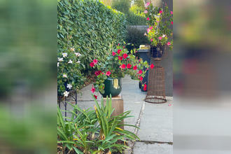 achat maison mtauban 82000