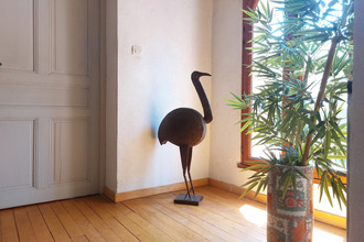 achat maison mtauban 82000