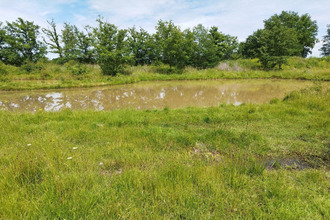 achat maison mtauban 82000