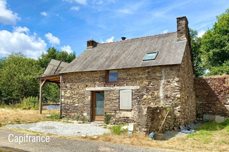 achat maison mteneuf 56380