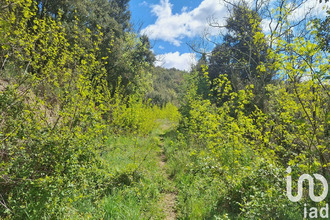 achat maison mtferrer 66150