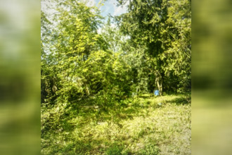 achat maison mtmedy 55600