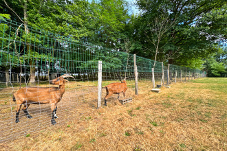 achat maison mtmerle-sur-saone 01090